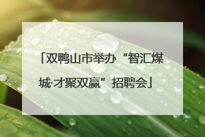 双鸭山市举办“智汇煤城·才聚双赢”招聘会