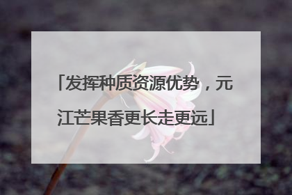 发挥种质资源优势，元江芒果香更长走更远