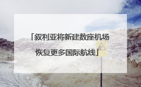 叙利亚将新建数座机场 恢复更多国际航线