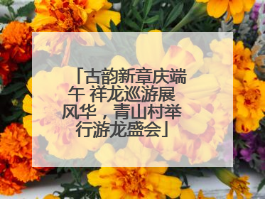 古韵新章庆端午 祥龙巡游展风华，青山村举行游龙盛会