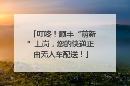 叮咚！顺丰“萌新”上岗，您的快递正由无人车配送！