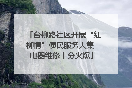 台柳路社区开展“红柳情”便民服务大集 电器维修十分火爆