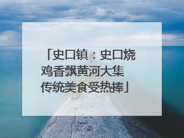史口镇：史口烧鸡香飘黄河大集 传统美食受热捧