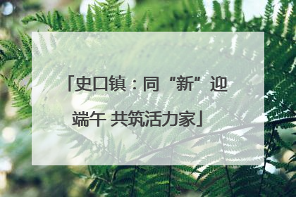 史口镇：同“新”迎端午 共筑活力家