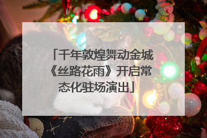 千年敦煌舞动金城《丝路花雨》开启常态化驻场演出