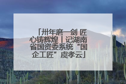 卅年磨一剑 匠心铸辉煌丨记湖南省国资委系统“国企工匠”虞孝云