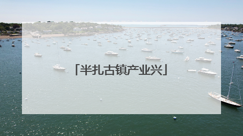 半扎古镇产业兴