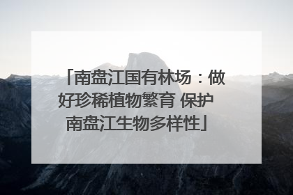南盘江国有林场：做好珍稀植物繁育 保护南盘江生物多样性