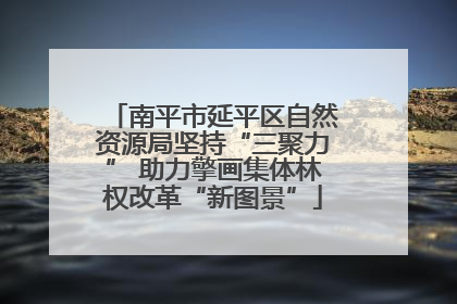 南平市延平区自然资源局坚持“三聚力” 助力擎画集体林权改革“新图景”