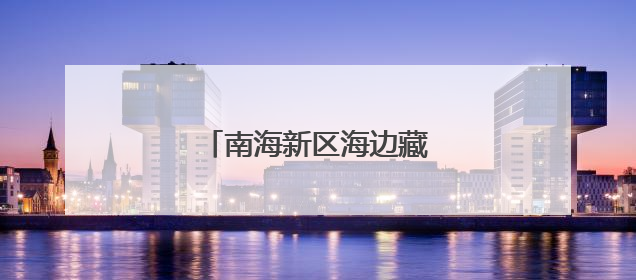 南海新区海边藏着绝美鸟浪奇观