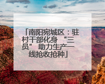 南阳宛城区：驻村干部化身 “三员” 助力生产一线抢收抢种