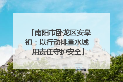 南阳市卧龙区安皋镇：以行动排查水域 用责任守护安全