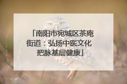 南阳市宛城区茶庵街道：弘扬中医文化 把脉基层健康