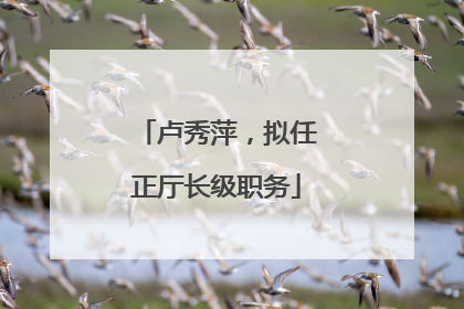 卢秀萍，拟任正厅长级职务