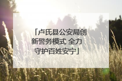 卢氏县公安局创新警务模式 全力守护百姓安宁