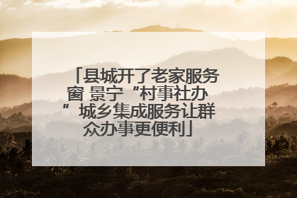 县城开了老家服务窗 景宁“村事社办”城乡集成服务让群众办事更便利