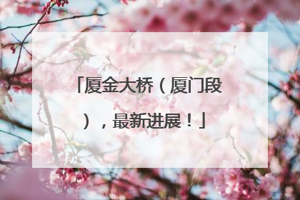 厦金大桥（厦门段），最新进展！