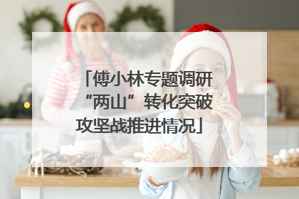 傅小林专题调研“两山”转化突破攻坚战推进情况