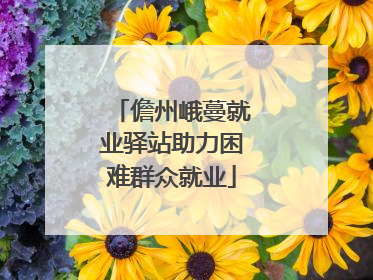 儋州峨蔓就业驿站助力困难群众就业