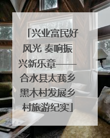 兴业富民好风光 奏响振兴新乐章——合水县太莪乡黑木村发展乡村旅游纪实