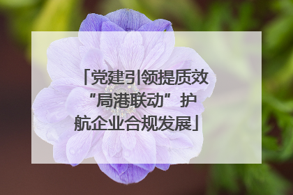 党建引领提质效 “局港联动”护航企业合规发展