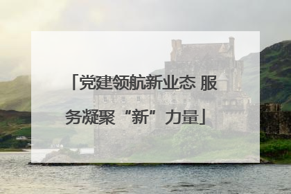 党建领航新业态 服务凝聚“新”力量