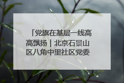 党旗在基层一线高高飘扬｜北京石景山区八角中里社区党委：用脚步丈量民生