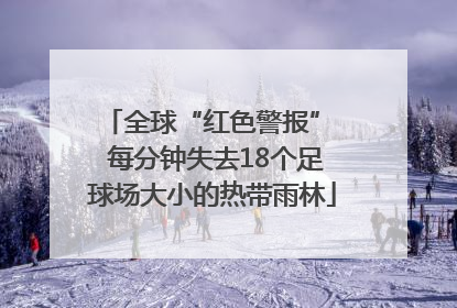 全球“红色警报”  每分钟失去18个足球场大小的热带雨林