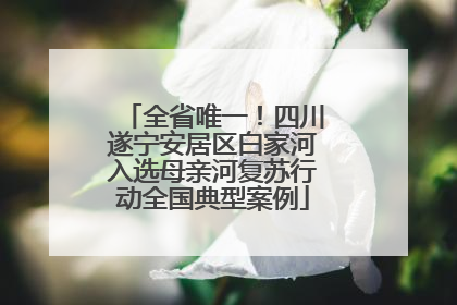 全省唯一！四川遂宁安居区白家河入选母亲河复苏行动全国典型案例