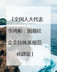 全国人大代表李鸿彬：加强社会支持体系规范化建设