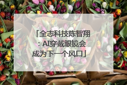 全志科技陈智翔：AI穿戴眼镜会成为下一个风口
