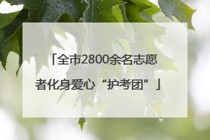 全市2800余名志愿者化身爱心“护考团”