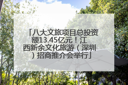 八大文旅项目总投资额13.45亿元！江西新余文化旅游（深圳）招商推介会举行