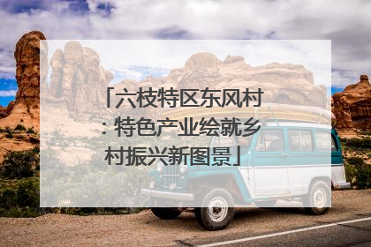 六枝特区东风村：特色产业绘就乡村振兴新图景