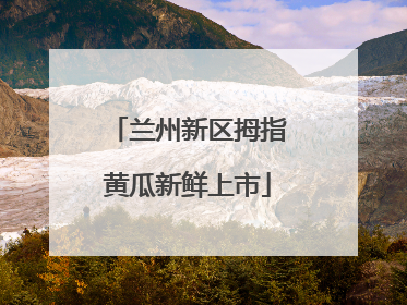 兰州新区拇指黄瓜新鲜上市