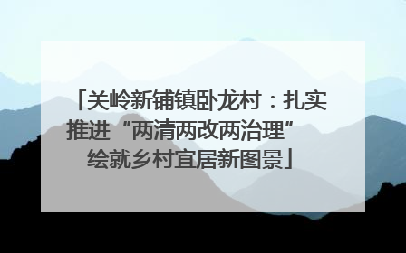 关岭新铺镇卧龙村：扎实推进“两清两改两治理” 绘就乡村宜居新图景