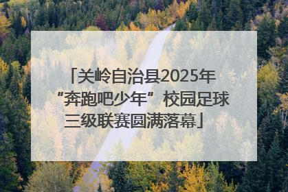 关岭自治县2025年“奔跑吧少年”校园足球三级联赛圆满落幕