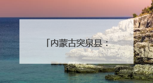 内蒙古突泉县：党建引领聚合力 以工代赈促增收