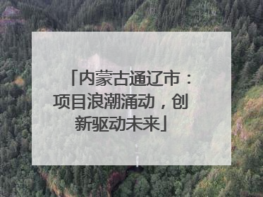 内蒙古通辽市：项目浪潮涌动，创新驱动未来