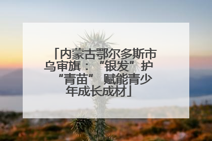 内蒙古鄂尔多斯市乌审旗：“银发”护“青苗” 赋能青少年成长成材