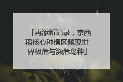 再添新记录，京西稻核心种植区频现世界极危与濒危鸟种