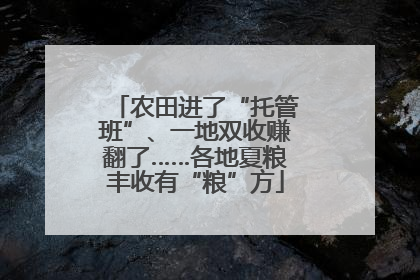 农田进了“托管班”、一地双收赚翻了……各地夏粮丰收有“粮”方