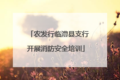 农发行临澧县支行开展消防安全培训