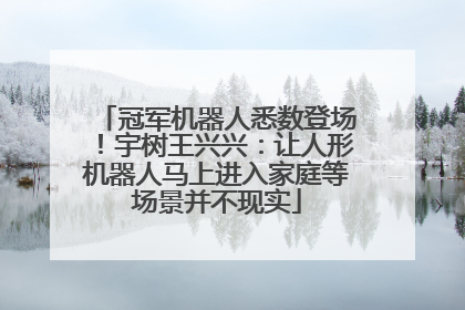 冠军机器人悉数登场！宇树王兴兴：让人形机器人马上进入家庭等场景并不现实