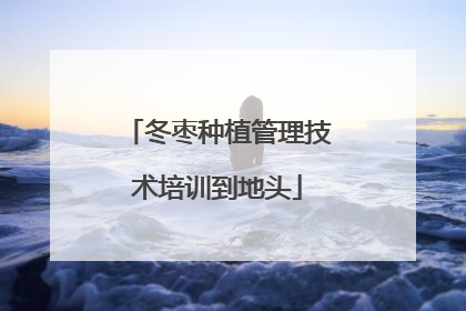 冬枣种植管理技术培训到地头