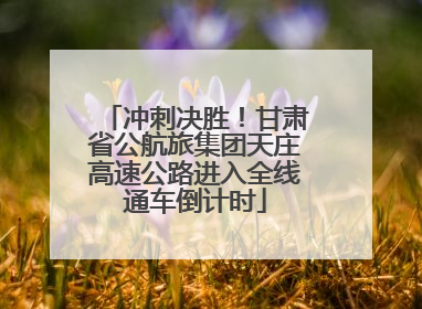 冲刺决胜！甘肃省公航旅集团天庄高速公路进入全线通车倒计时
