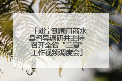 刘宁到周口商水县督导调研并主持召开全省“三夏”工作视频调度会