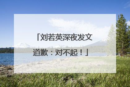 刘若英深夜发文道歉：对不起！
