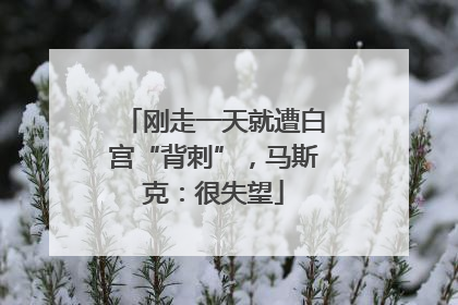 刚走一天就遭白宫“背刺”，马斯克：很失望