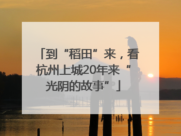 到“稻田”来，看杭州上城20年来“光阴的故事”